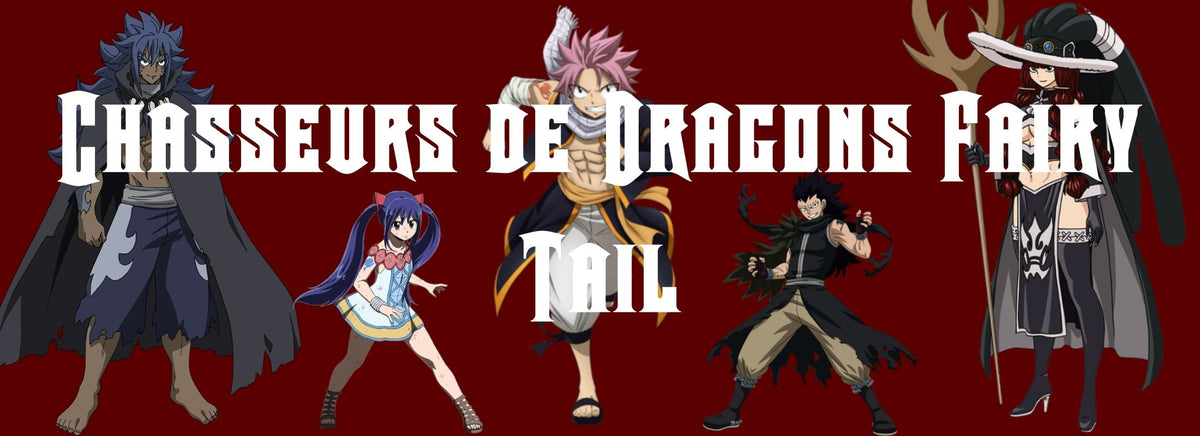 Chasseur De Dragon Fairy Tail Fairy Tail Shop